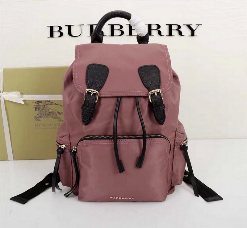 Burberry Handbags 38